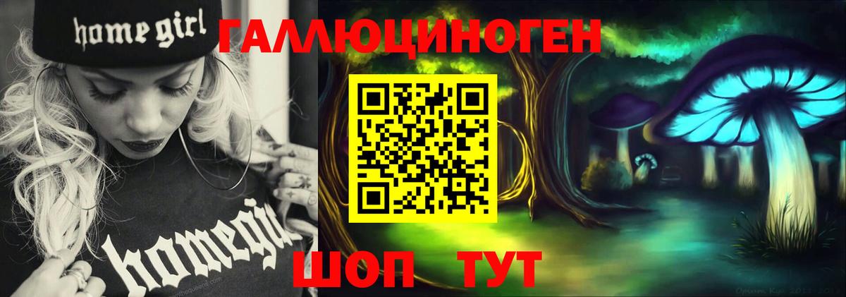 Псилоцибиновые грибы Psilocybe  Псилоцибиновые грибы GOLDEN TEACHER  Лесозаводск  Вход с VPN 